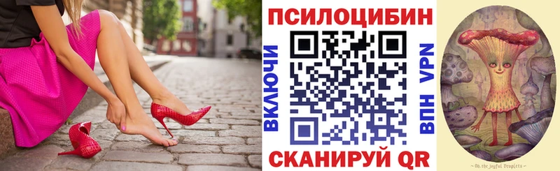 Псилоцибиновые грибы мухоморы  hydra как зайти  Сертолово 